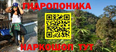 соль ск Свободный