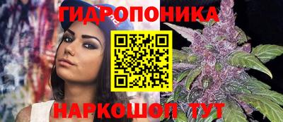 индика Северобайкальск