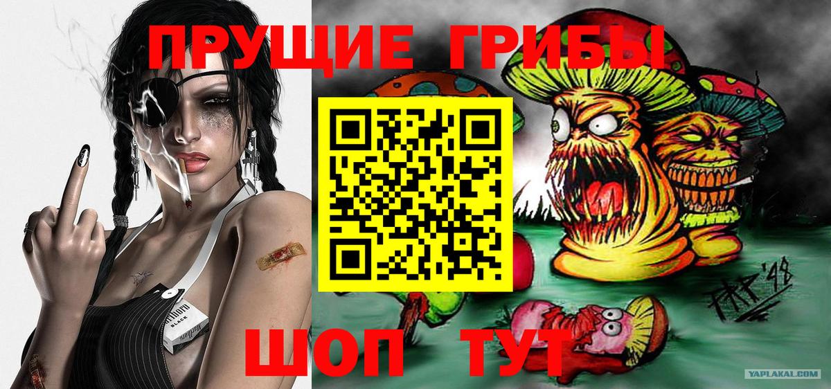 Рубцовск  Галлюциногенные грибы Magic Shrooms  сколько стоит  Вход с VPN 